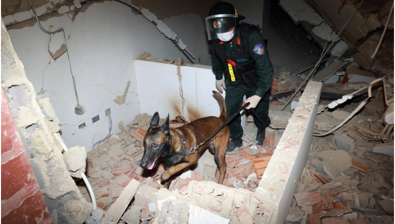 An amazing dog: Vietnamese rescue dog Xu Kip awarded Venezuela’s Medal of Merit during his first overseas mission