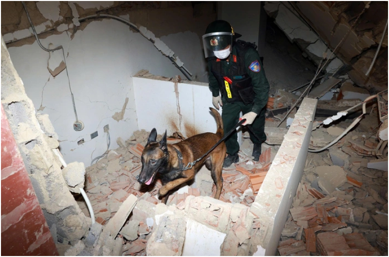 An amazing dog: Vietnamese rescue dog Xu Kip awarded Venezuela’s Medal of Merit during his first overseas mission