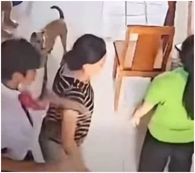 Mẹ nam sinh trong vụ xô xát với mợ bức xúc lên tiếng, nghẹn lòng kể chuyện con bị nghi oan: “Là một người mẹ, nhìn con mình bị nghi oan, bị dồn vào thế phải liên tục thanh minh mà không được lắng nghe, tôi đau lòng và bức xúc vô cùng”