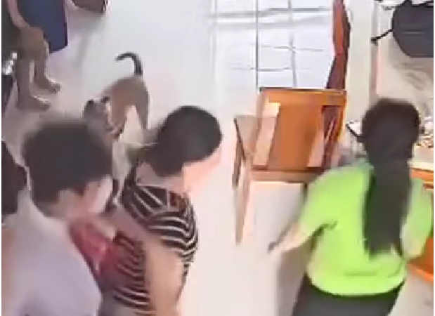 Người tự nhận mình là mợ nói rõ, giải thích cạn kẽ sự việc: Hóa ra là như thế này đây