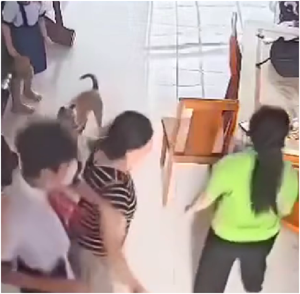 Người tự nhận mình là mợ nói rõ, giải thích cạn kẽ sự việc: Hóa ra là như thế này đây