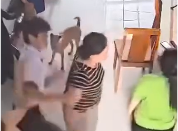 Sau vụ nam sinh lớp 7, Sở GD-ĐT đã yêu cầu 1 việc này: Ai cũng thấy hợp lý, cần phải làm ngay