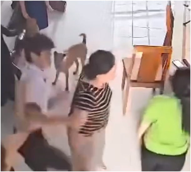 Sau vụ nam sinh lớp 7, Sở GD-ĐT đã yêu cầu 1 việc này: Ai cũng thấy hợp lý, cần phải làm ngay