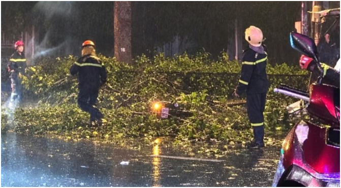 Rõ danh tính người đàn ông t:uvo:g vì bị nhánh cây lớn rơi trúng ở HCM: Quá xót xa