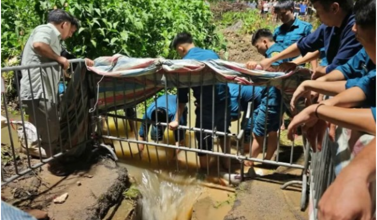 Vụ tân sinh viên bị nước xuống cống: Chủ tịch UBND TP Hà Nội nói gì?