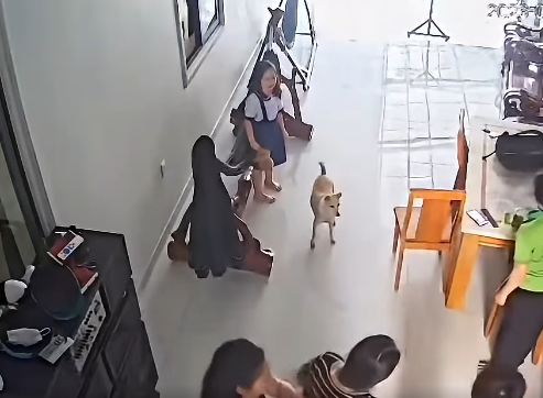 Vụ nam sinh xô xát với mợ: Nhiều người lên tiếng chỉ trích người mợ đã quá đáng trước – “Mất gì cũng đổ cho cháu, khổ thân cháu”