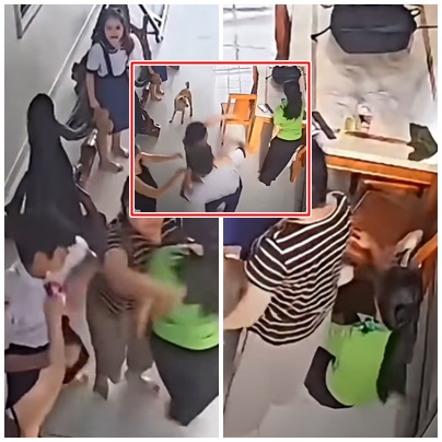 Thực hư câu chuyện phía sau đoạn video người cháu có hành vi không đúng với mợ?